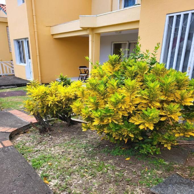 سانت آن Appartement A Saint-Anne - Residence Beauregard المظهر الخارجي الصورة
